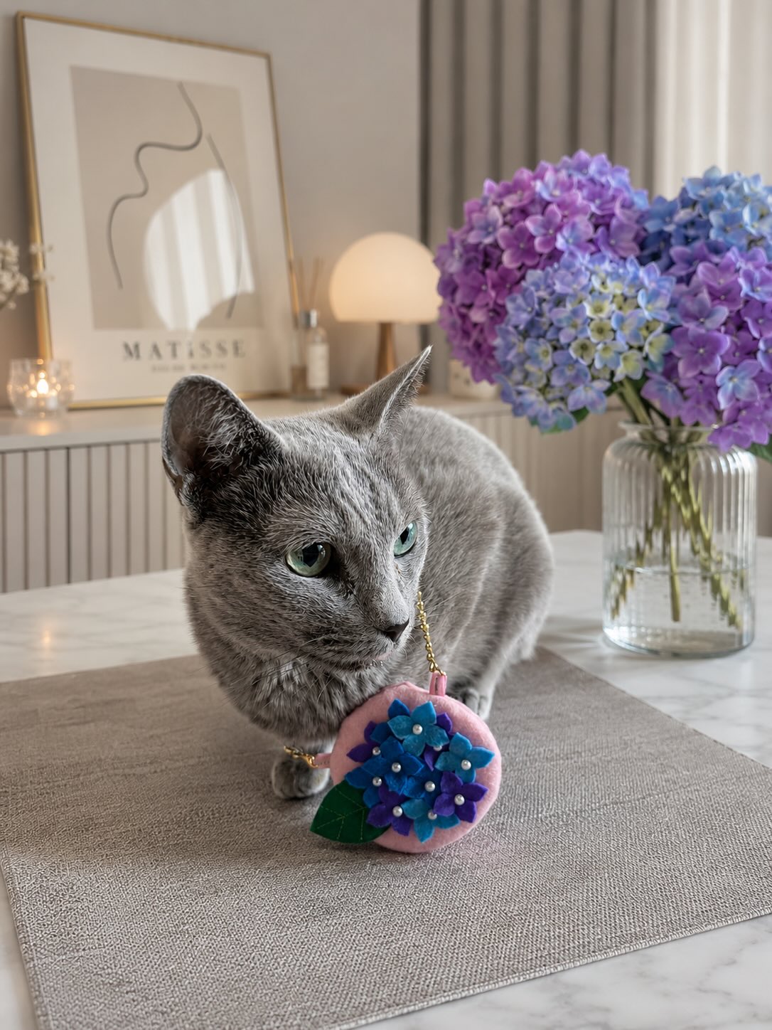 Moco — Russian Blue Male